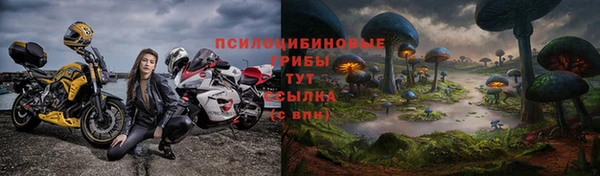 соль курить ск Осинники