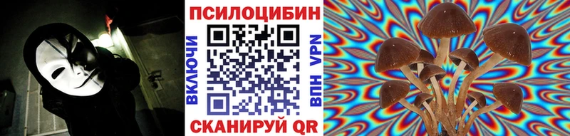 Псилоцибиновые грибы Psilocybe Павловск