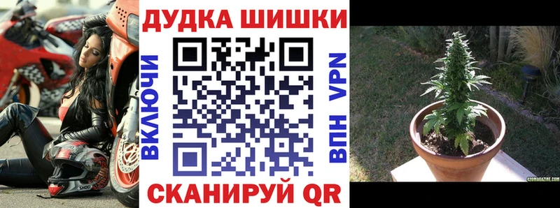 Канабис индика наркота даркнет клад Павловск